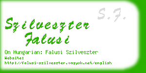 szilveszter falusi business card